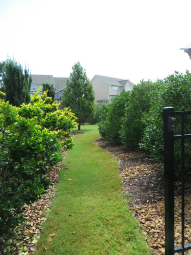 PATH