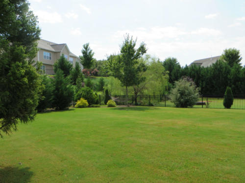YARD